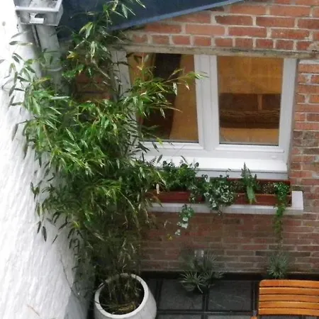 Mosaique Prázdninový dům *